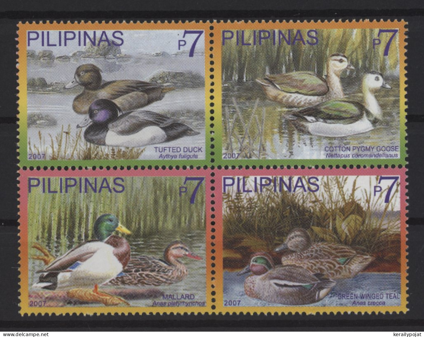 Philippines - 2007 Ducks Block Of Four MNH__(TH-27054) - Philippines