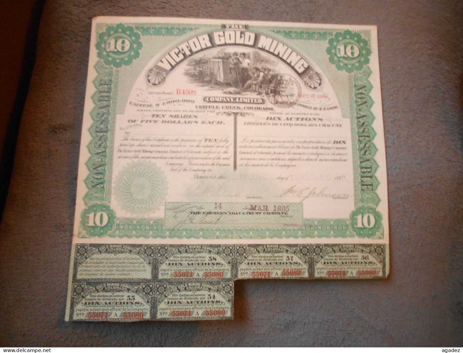 Titre De 10 Actions  Ten Shares Victor Gold Mining 1895 - Mines