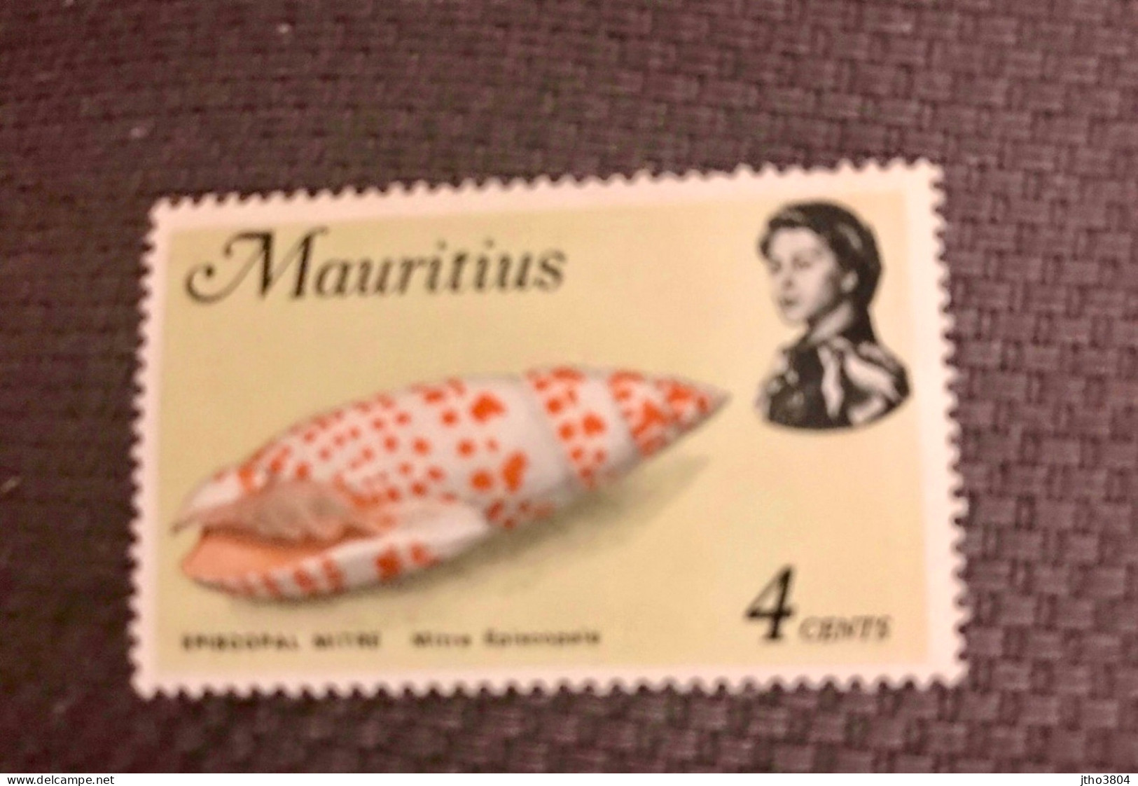 MAURICE 1969 1v Neuf MNH ** Mi 333 Conchas Shells Muscheln Conchoglie MAURITIUS - Coneshells