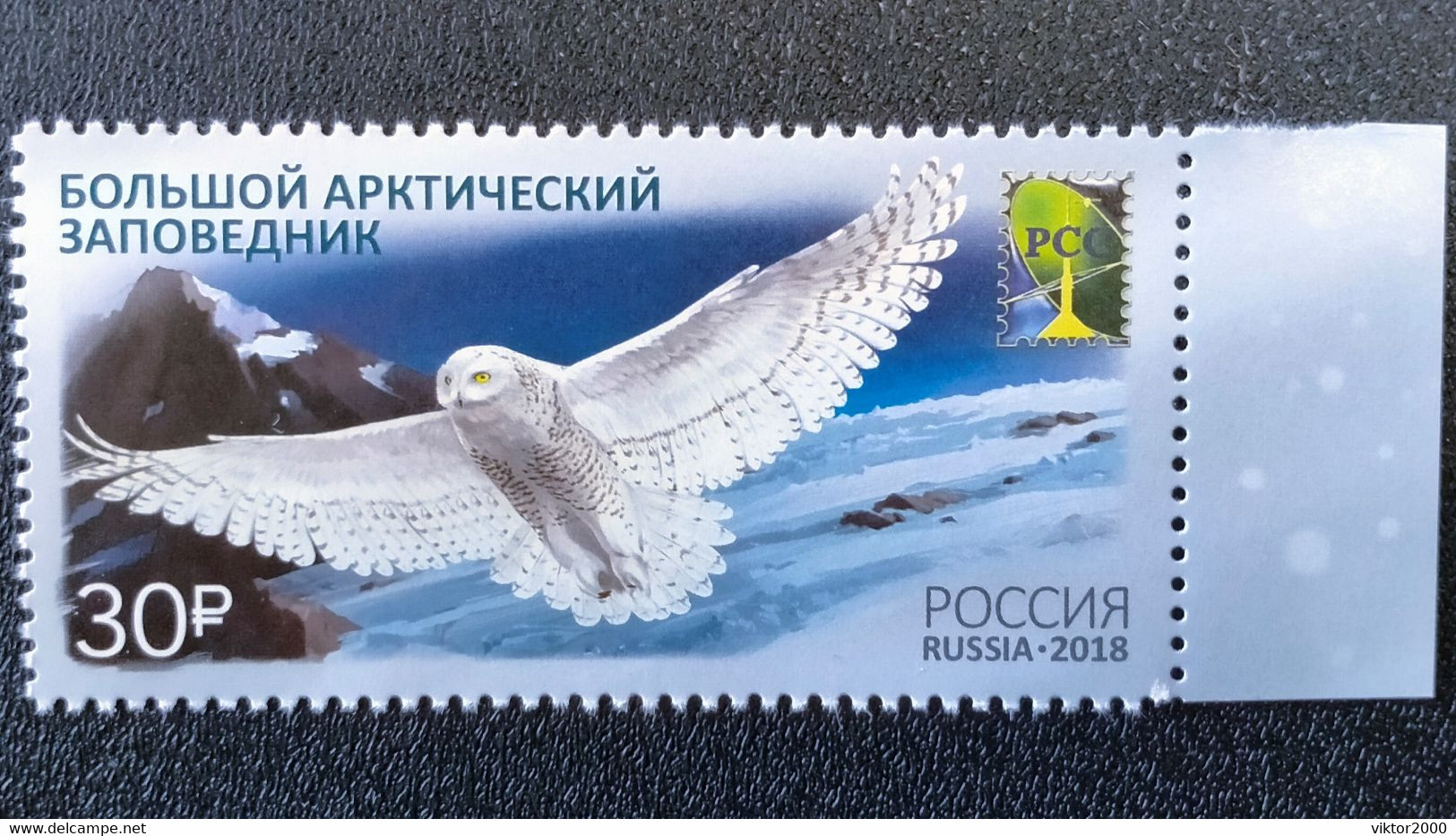 RUSSIA MNH (**)2018 Joint RCC Issue - Nature Reserves.White Owl. Mi  2538 - Eagles & Birds Of Prey