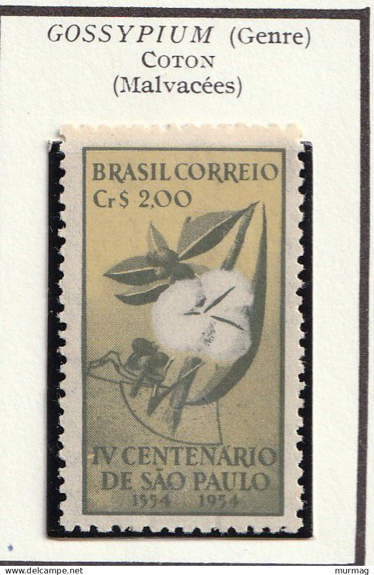 BRESIL - IVe Centenaire De Sao Paulo, Coton - 1954 - MH - Nuevos