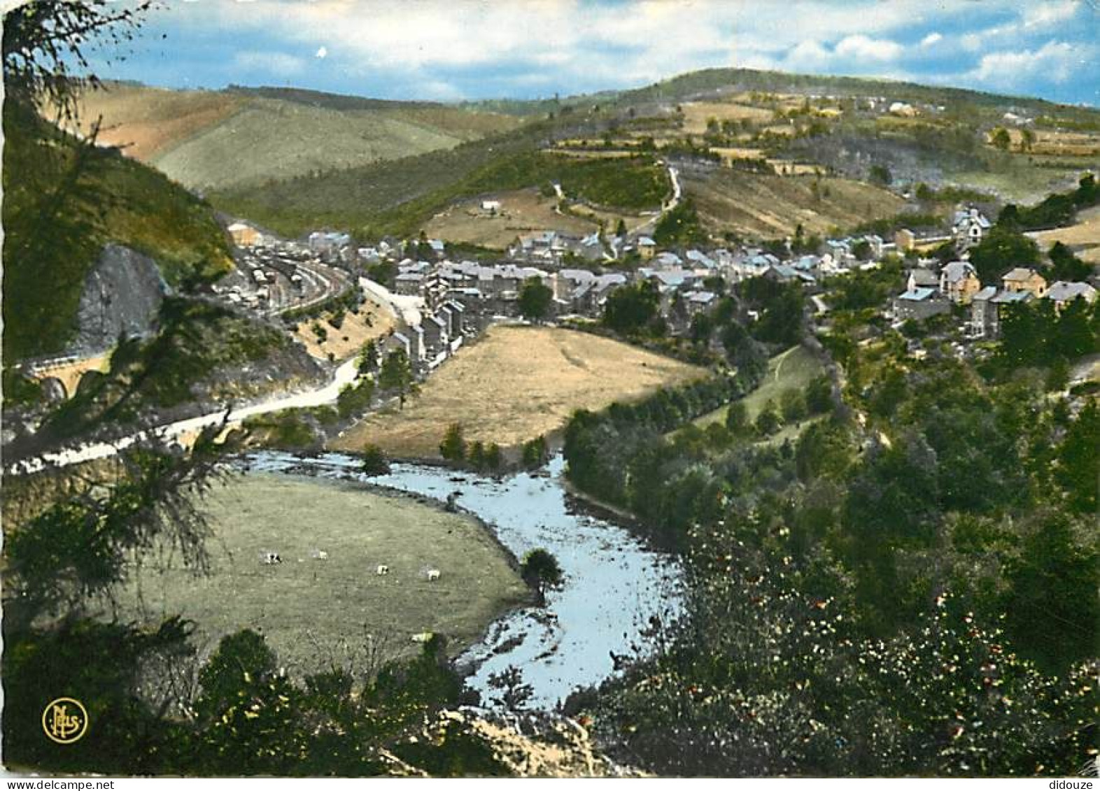 Belgique - Trois Ponts Sur Salm - Vue Générale - Panorama Vu Des Rochers Des Cœurs Fendus - Carte Dentelée - CPSM Grand  - Trois-Ponts