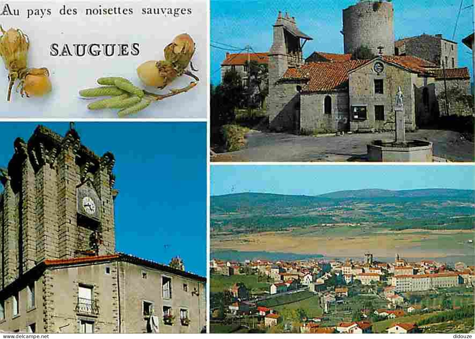 43 - Saugues - Multivues - Eglise - Noisettes Sauvages - Flamme Postale - CPM - Voir Scans Recto-Verso - Saugues