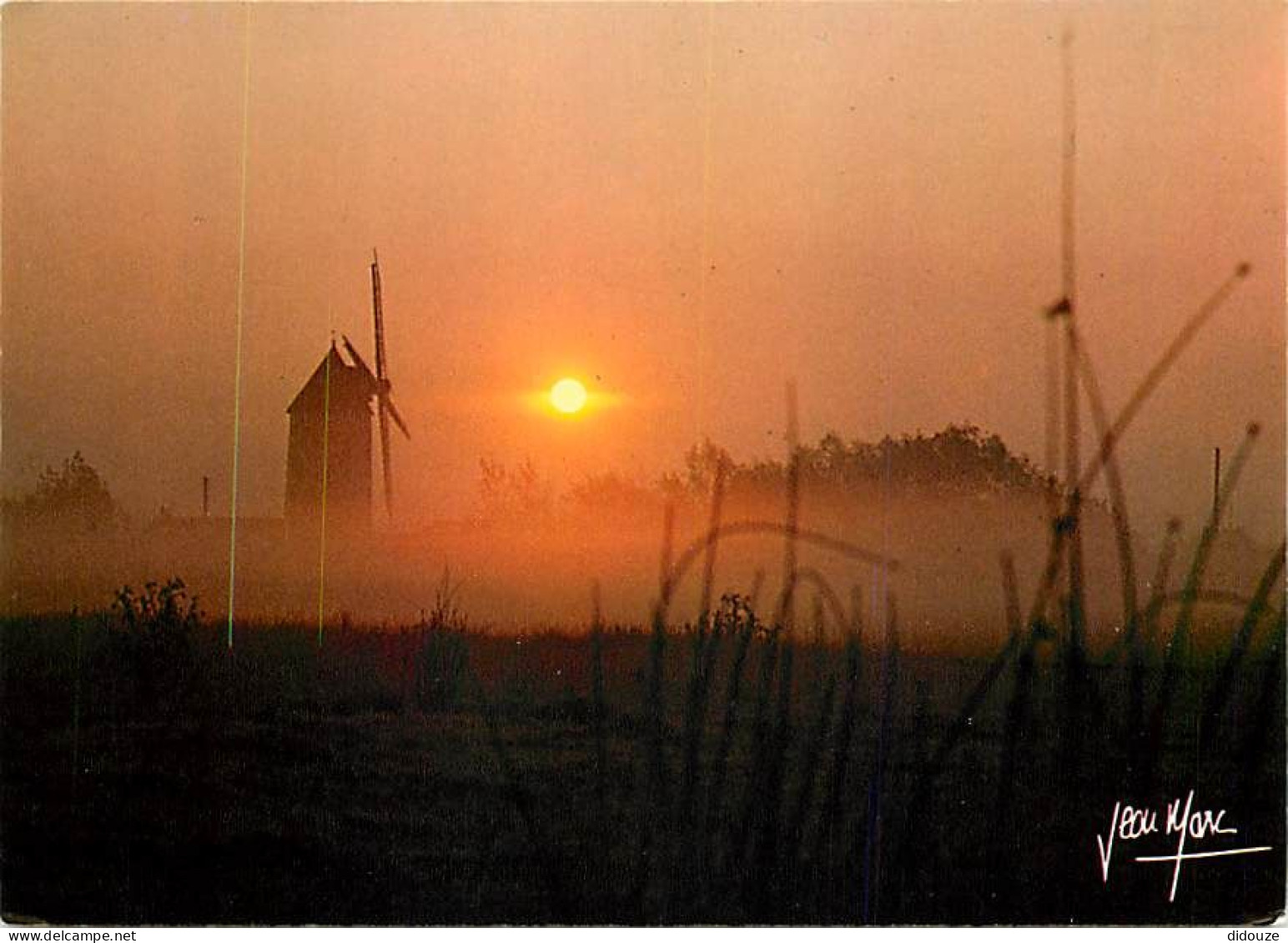 Coucher De Soleil - CPM - Voir Scans Recto-Verso - Controluce