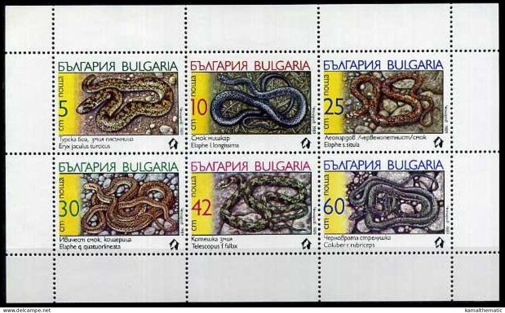 Bulgaria 1989 MNH 6v SS, Snakes, Reptiles - Serpenti