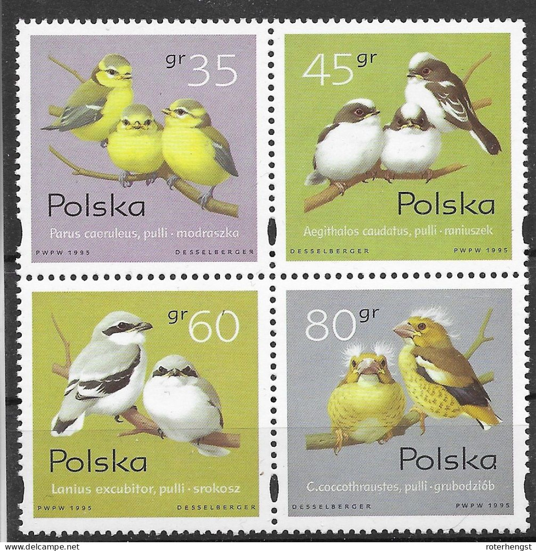 Poland Mnh ** Birds Set 1996 - Unused Stamps