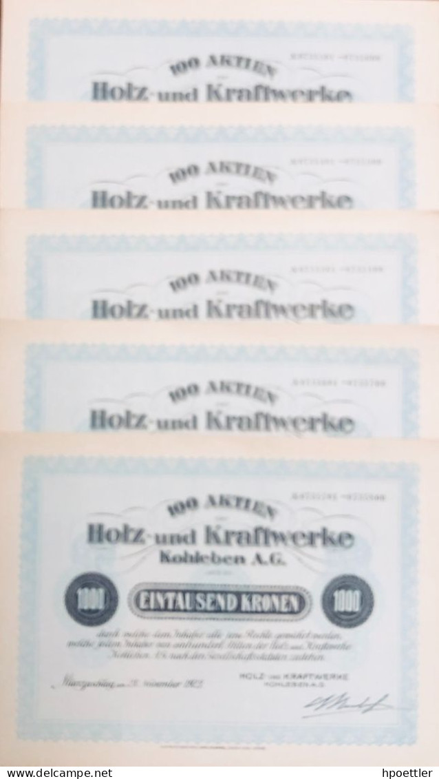 Austria - Vienne 5 X  100 Actions Holz- Und Kraftwerke Kohleben AG 1923 - Avec Coupons - Autres & Non Classés