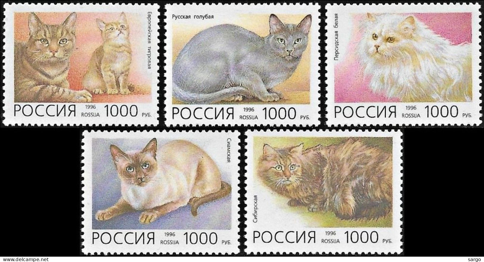 RUSSIA -  1996  - FAUNA - ANIMALS -  CAT - CATS - GATTI - 4 V - MNH - - Katten