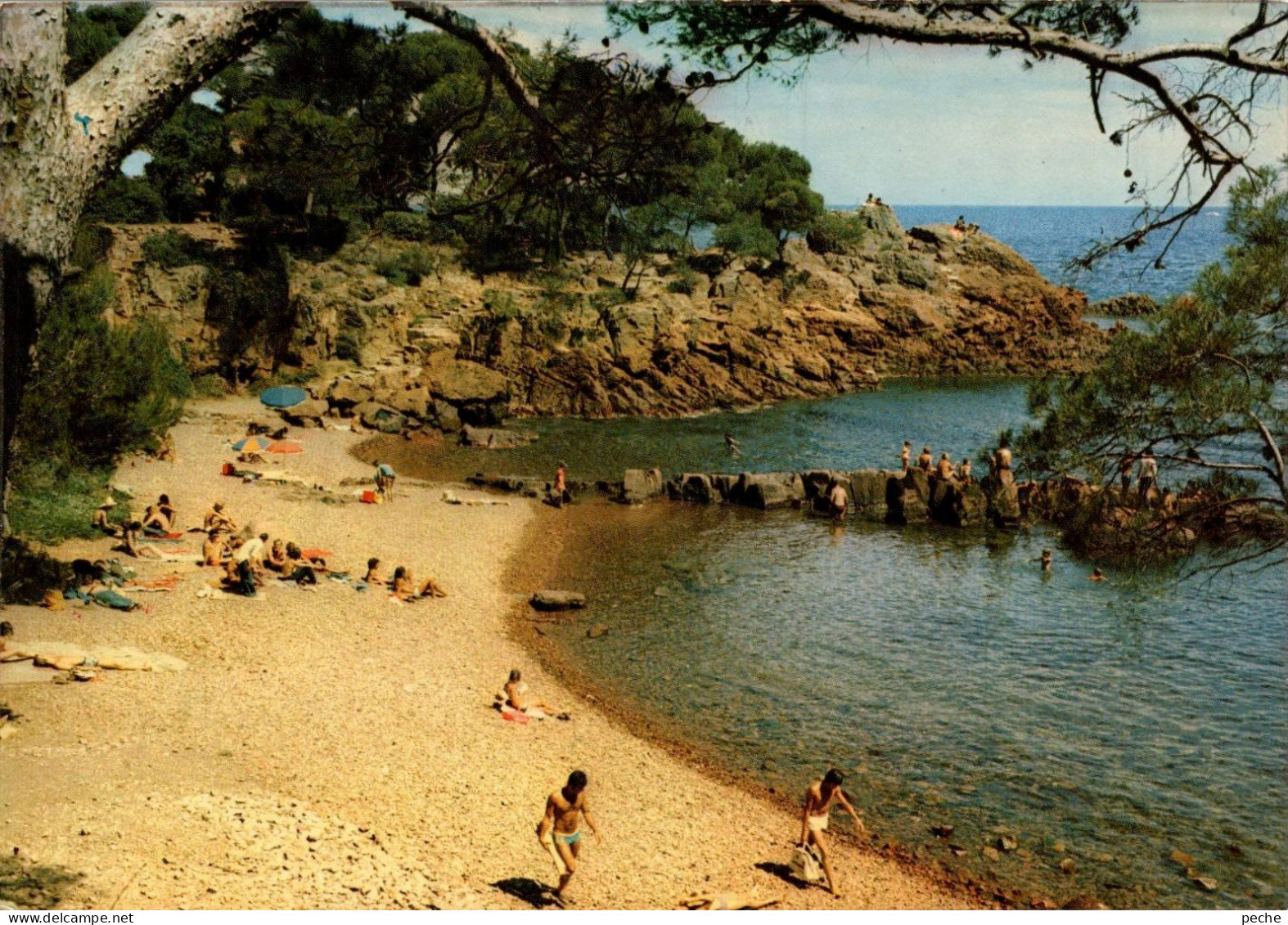 N°359 Z -cpsm Boulouris -la Plage De Santa Luccia- - Boulouris