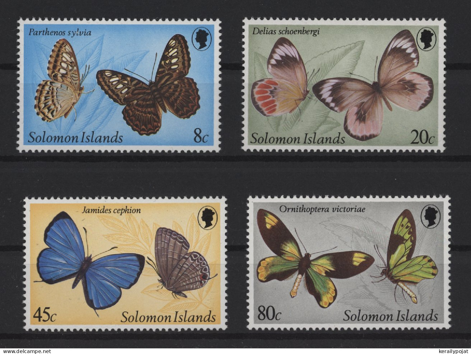 Solomon Islands - 1980 Butterflies MNH__(TH-26976) - Salomon (Iles 1978-...)