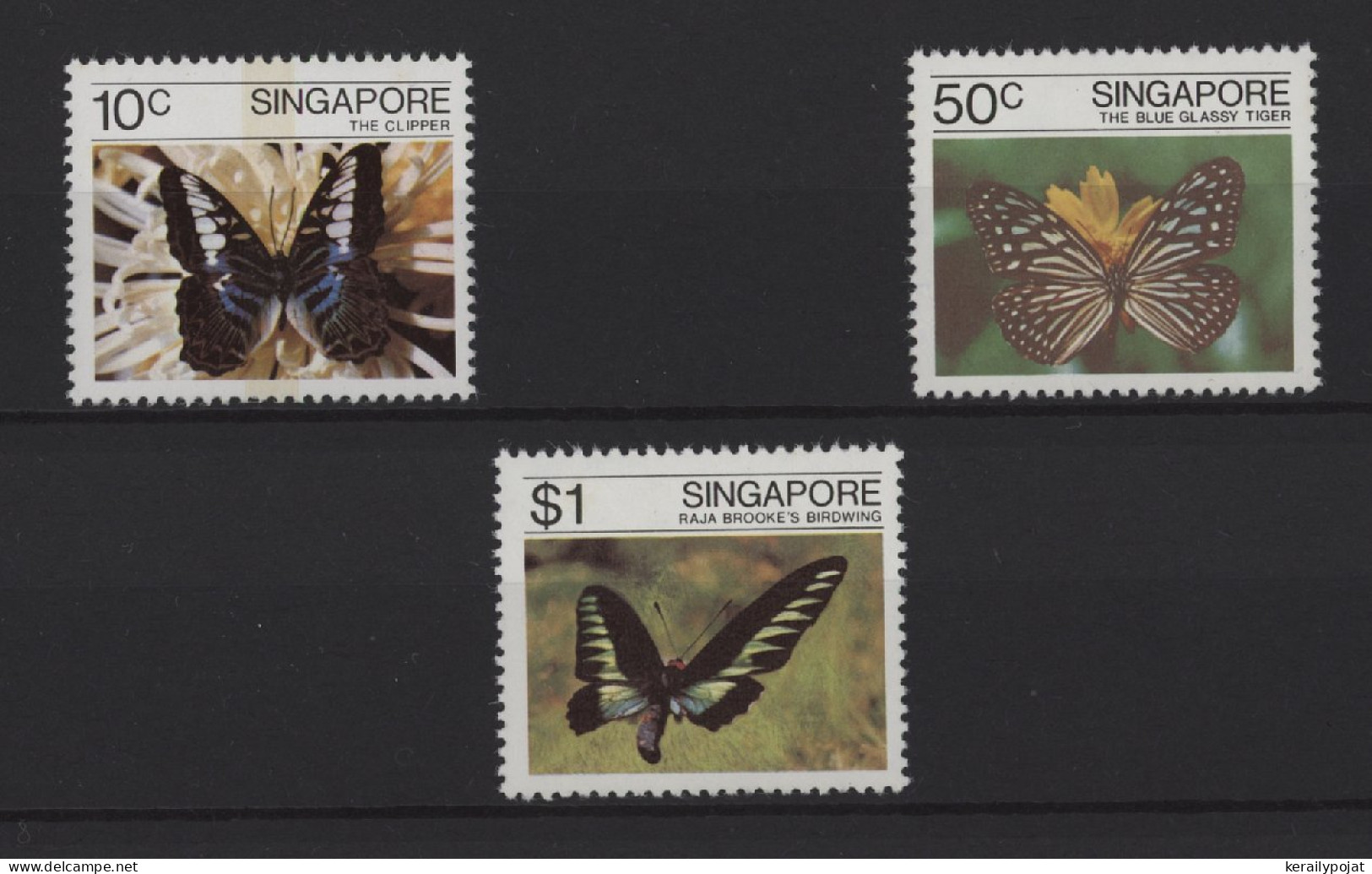 Singapore - 1982 Butterflies MNH__(TH-26971) - Singapore (1959-...)