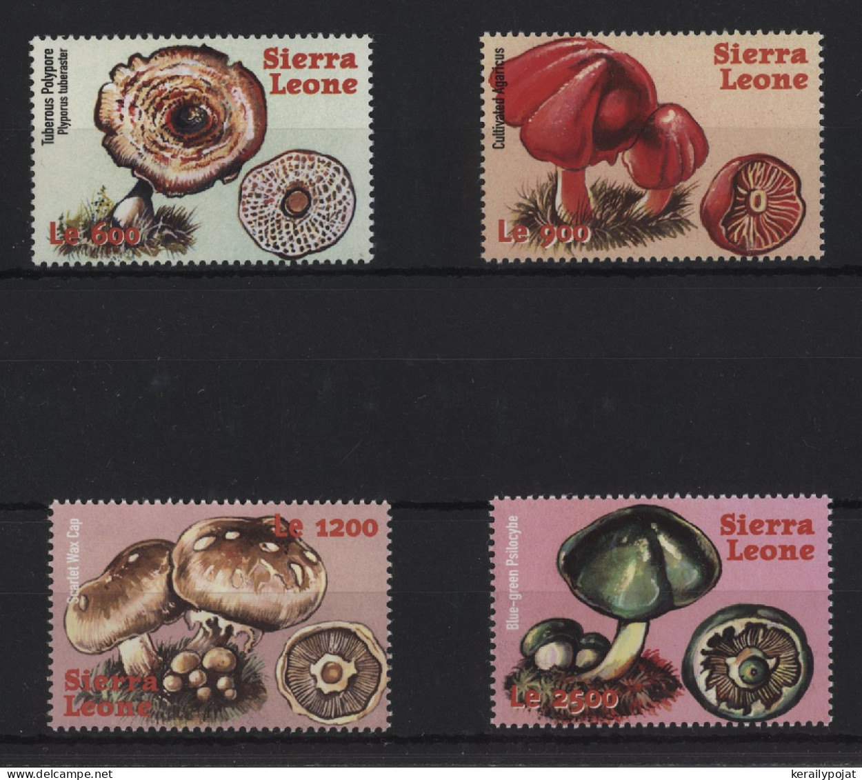 Sierra Leone - 2000 Mushrooms MNH__(TH-24392) - Sierra Leone (1961-...)