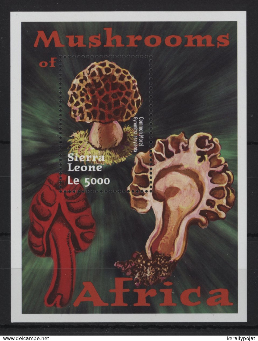 Sierra Leone - 2000 Mushrooms Block (2) MNH__(TH-24393) - Sierra Leone (1961-...)
