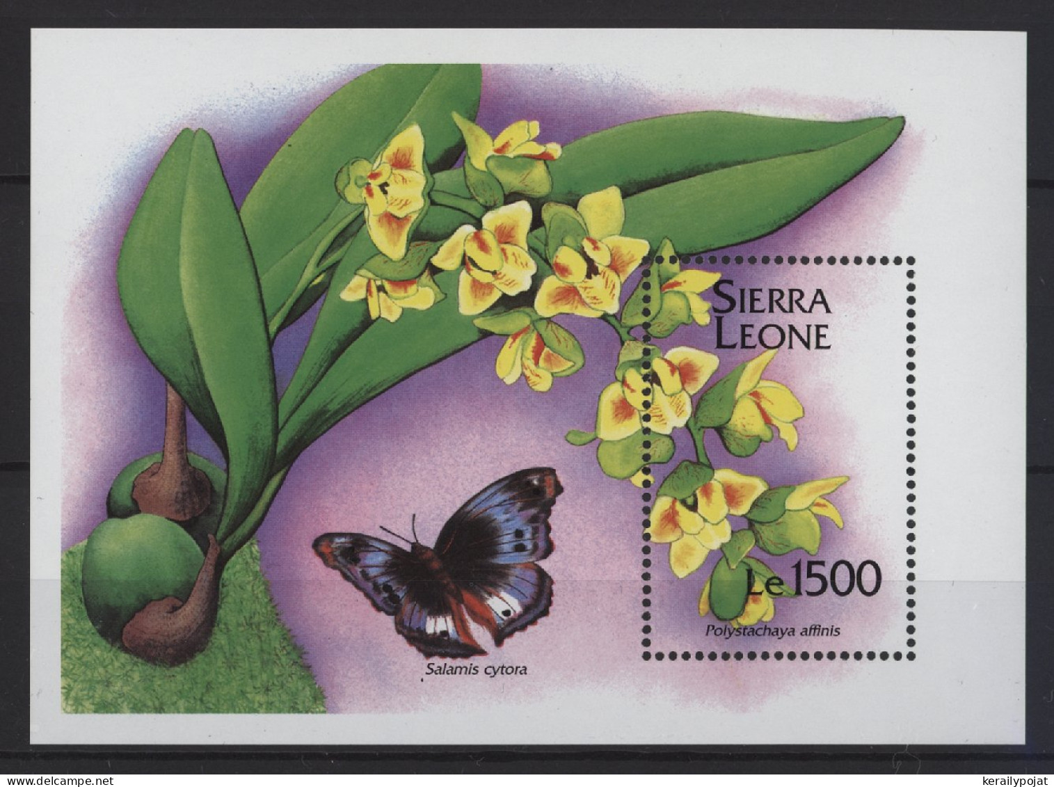 Sierra Leone - 1994 Orchids Block (2) MNH__(TH-26860) - Sierra Leone (1961-...)