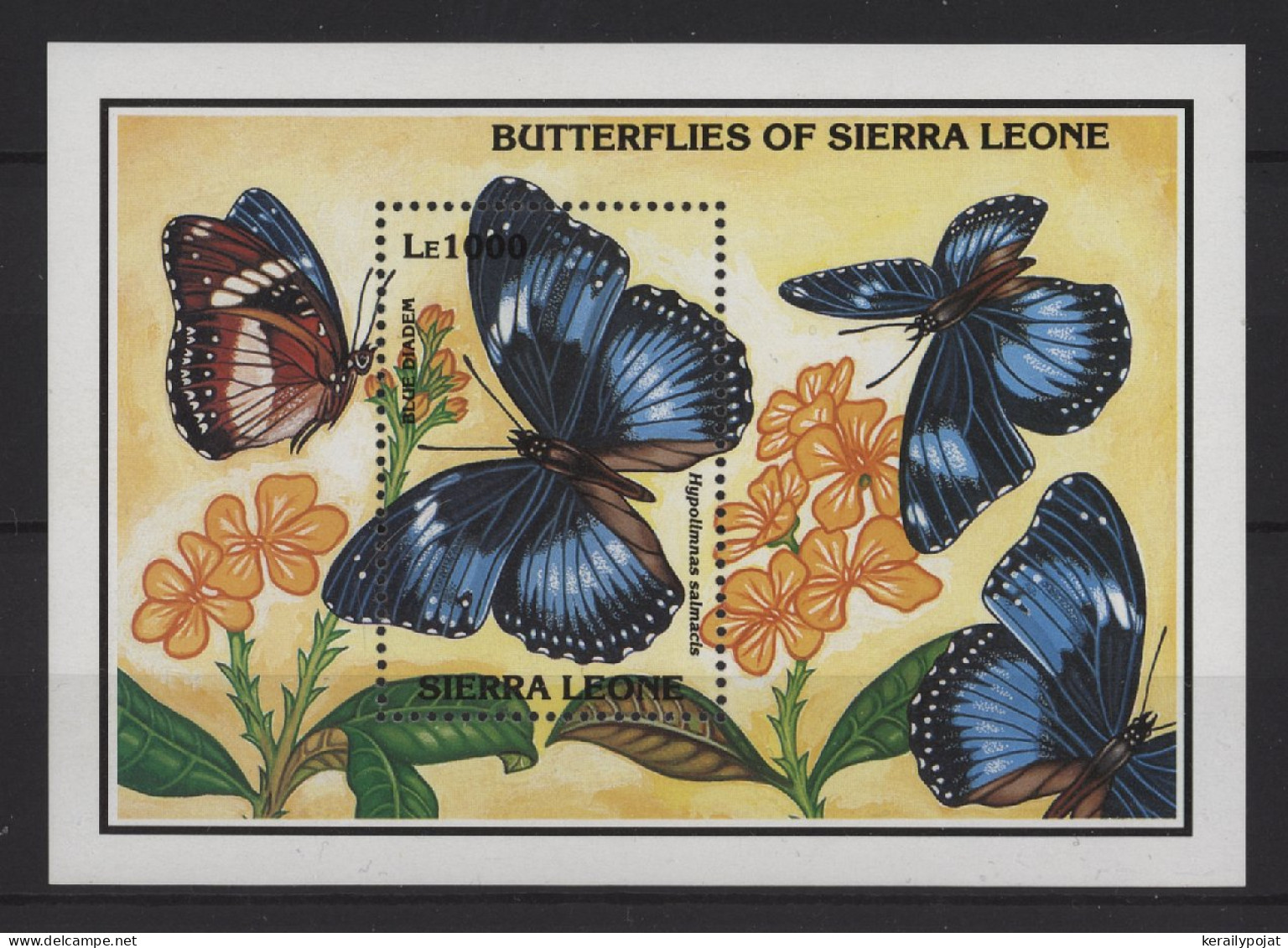 Sierra Leone - 1993 Butterflies Block (3) MNH__(TH-26763) - Sierra Leone (1961-...)