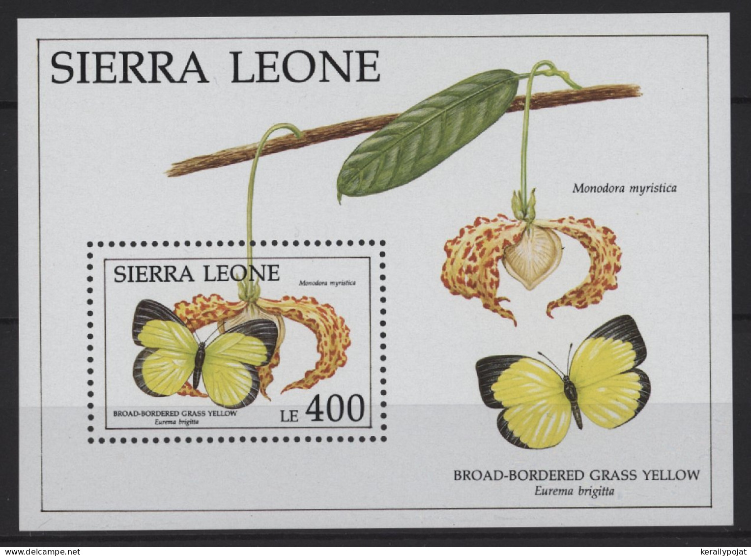 Sierra Leone - 1991 Butterflies Block (3) MNH__(TH-26864) - Sierra Leona (1961-...)