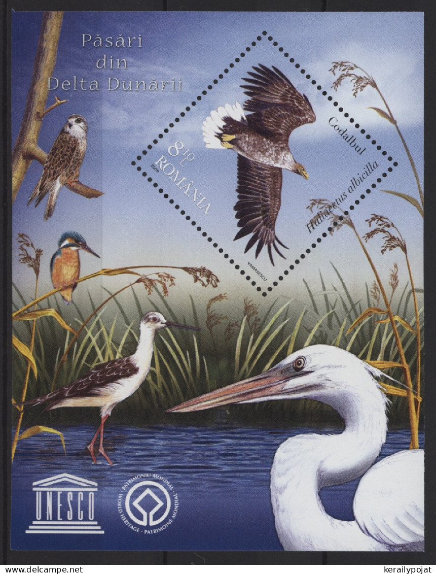 Romania - 2009 Birds On The Danube Delta Block MNH__(TH-27008) - Blocs-feuillets