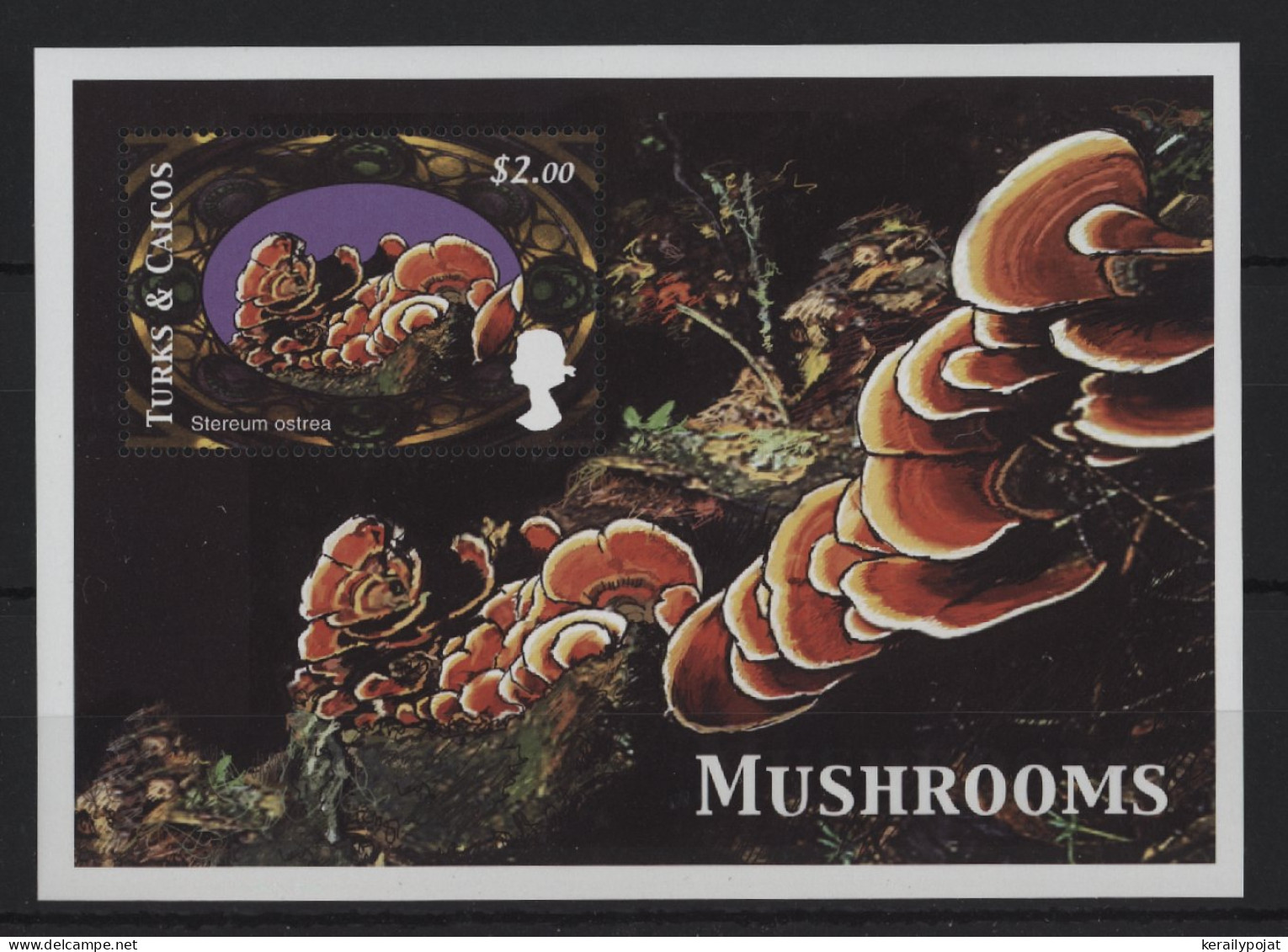 Turks And Caicos - 2000 Mushrooms Block (2) MNH__(TH-24385) - Turcas Y Caicos