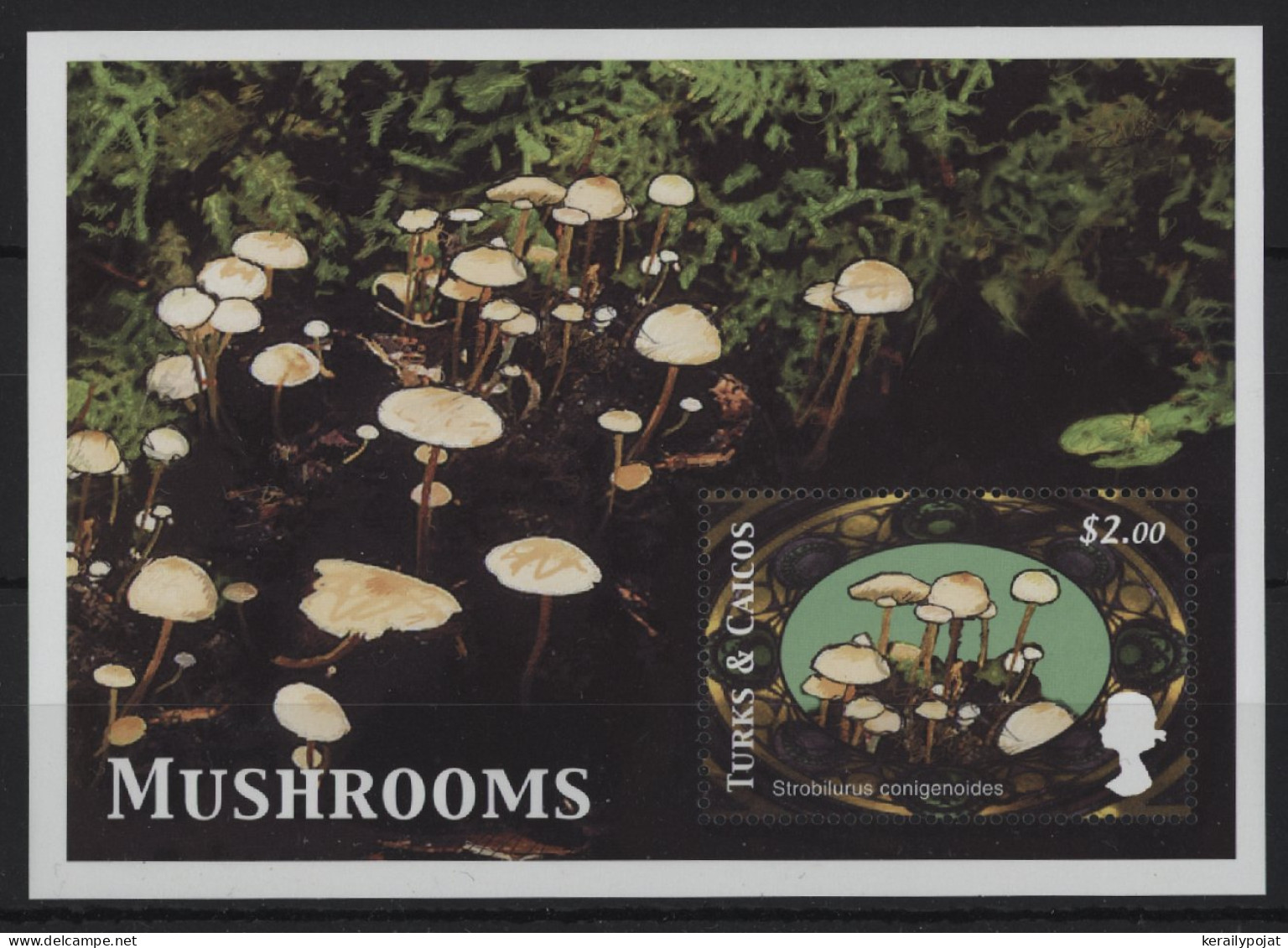 Turks And Caicos - 2000 Mushrooms Block (1) MNH__(TH-24384) - Turks E Caicos