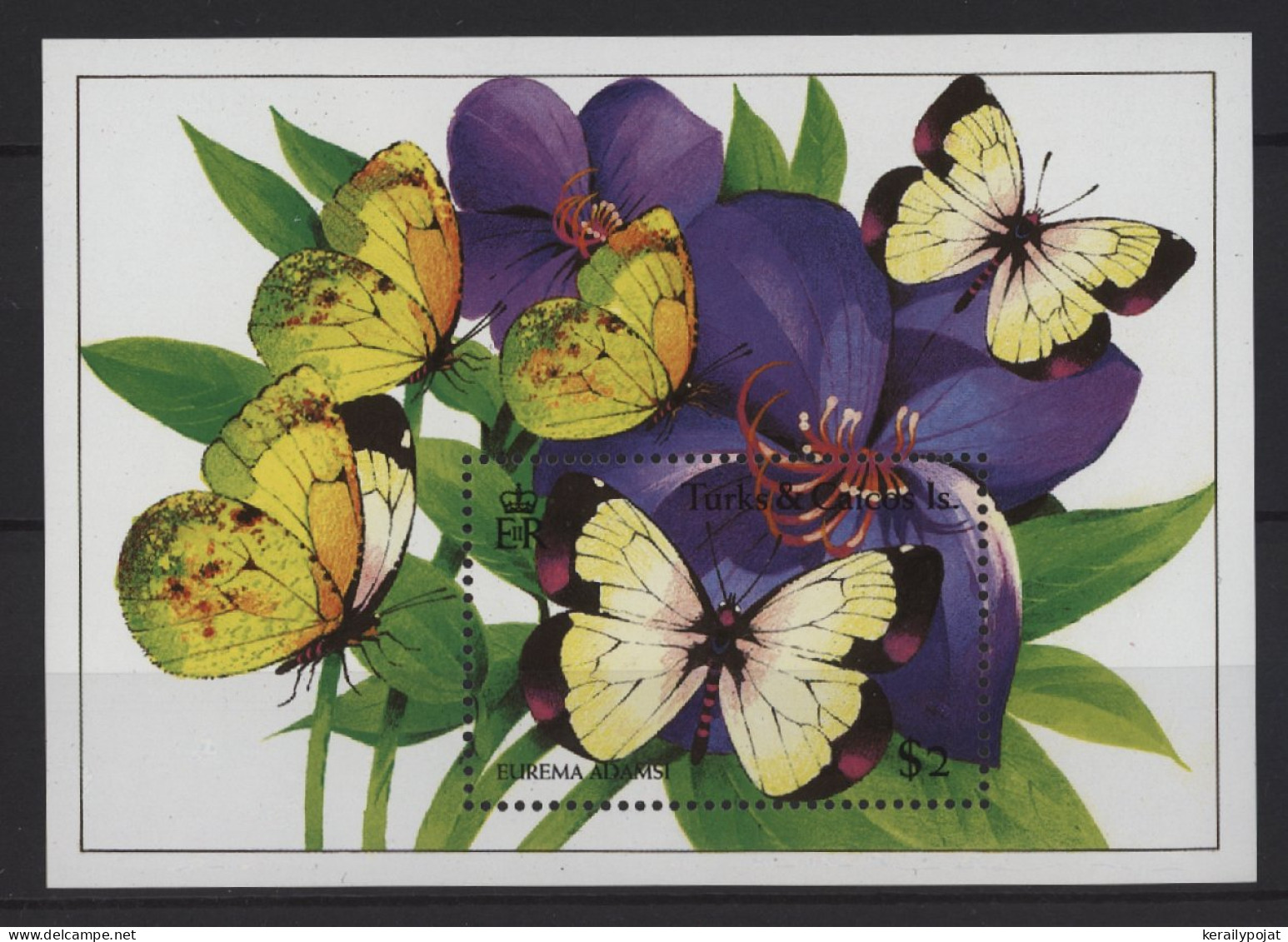 Turks And Caicos - 1994 Butterflies Block (1) MNH__(TH-26791) - Turks And Caicos