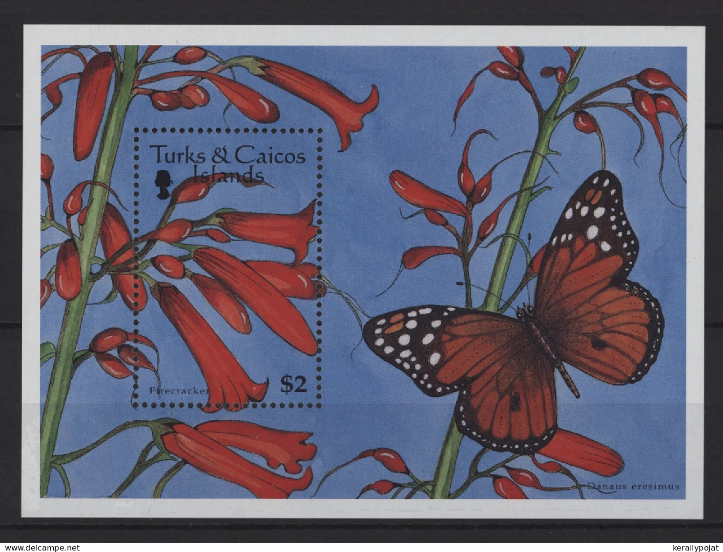 Turks And Caicos - 1997 Flowers Block (1) MNH__(TH-26792) - Turks & Caicos (I. Turques Et Caïques)