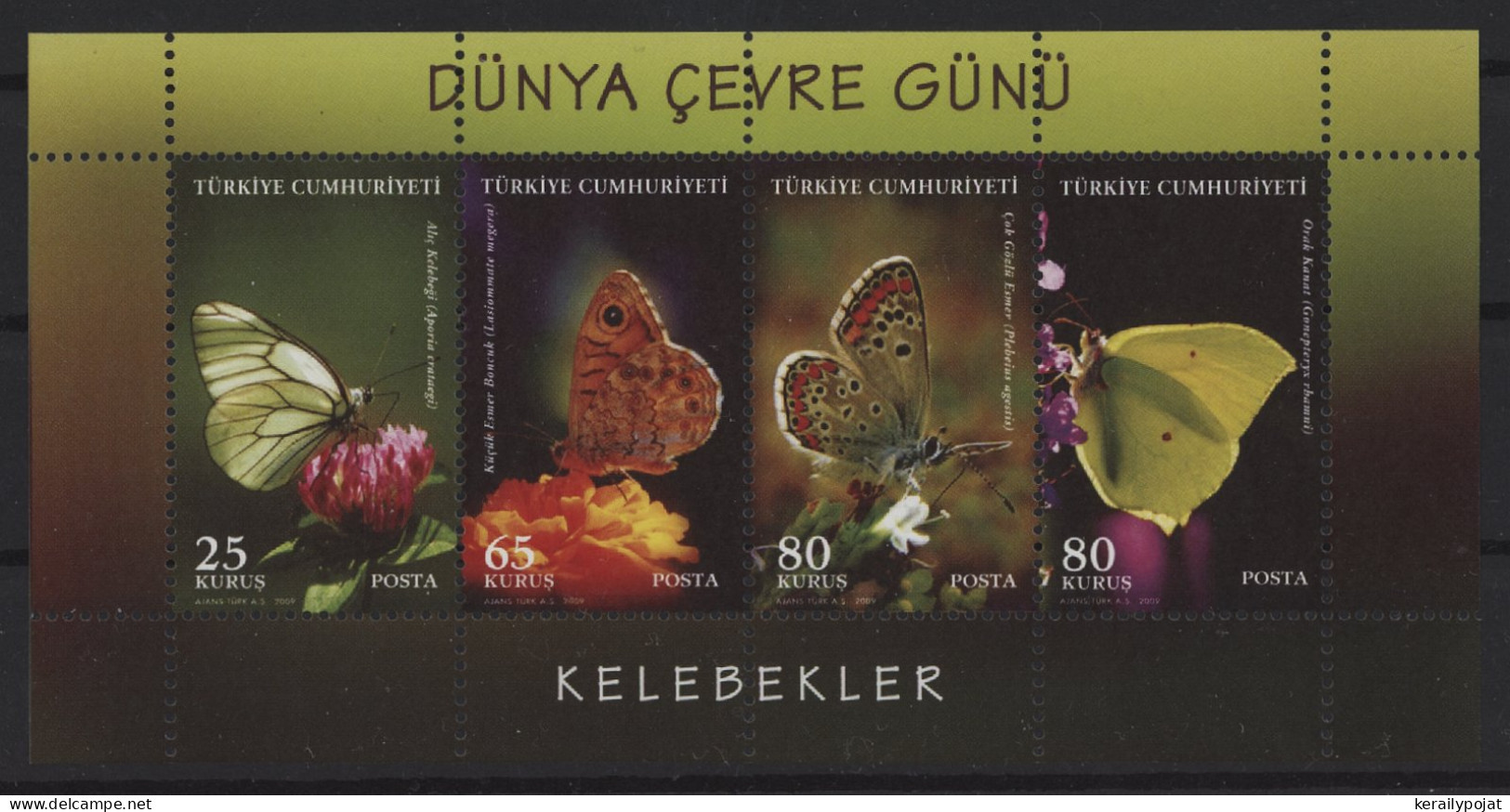 Turkey - 2009 Butterflies Block MNH__(TH-26759) - Blocks & Sheetlets
