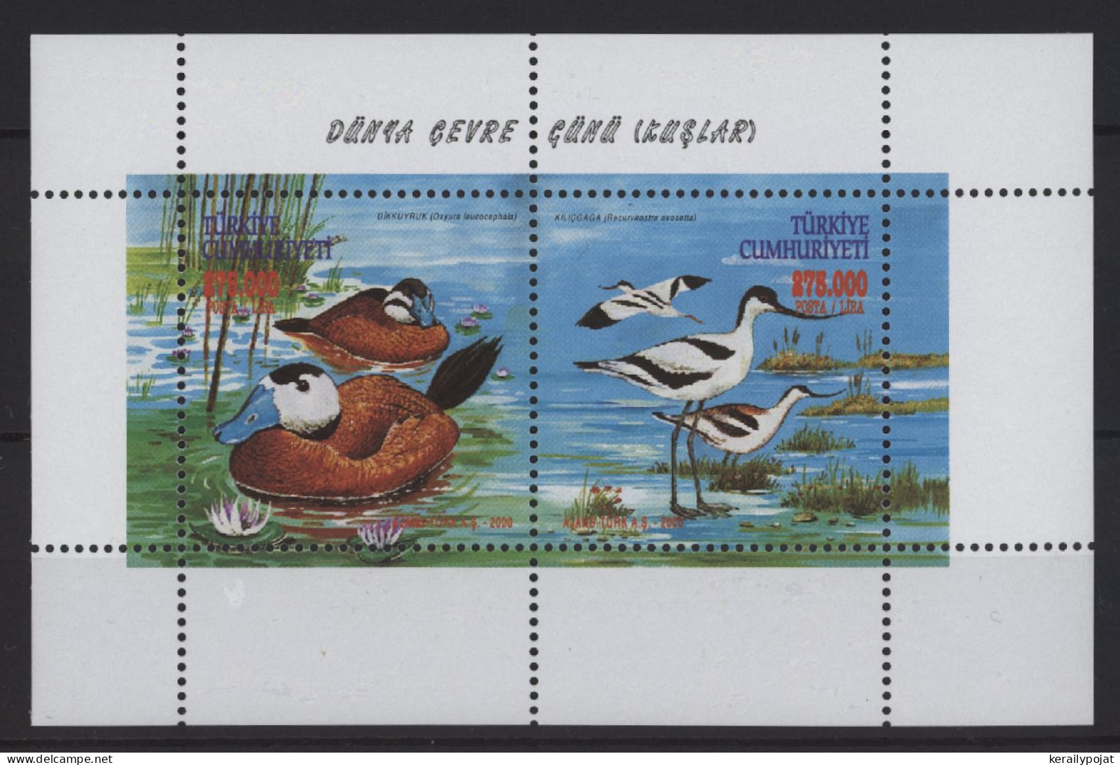 Turkey - 2000 Birds Block (2) MNH__(TH-27240) - Blokken & Velletjes