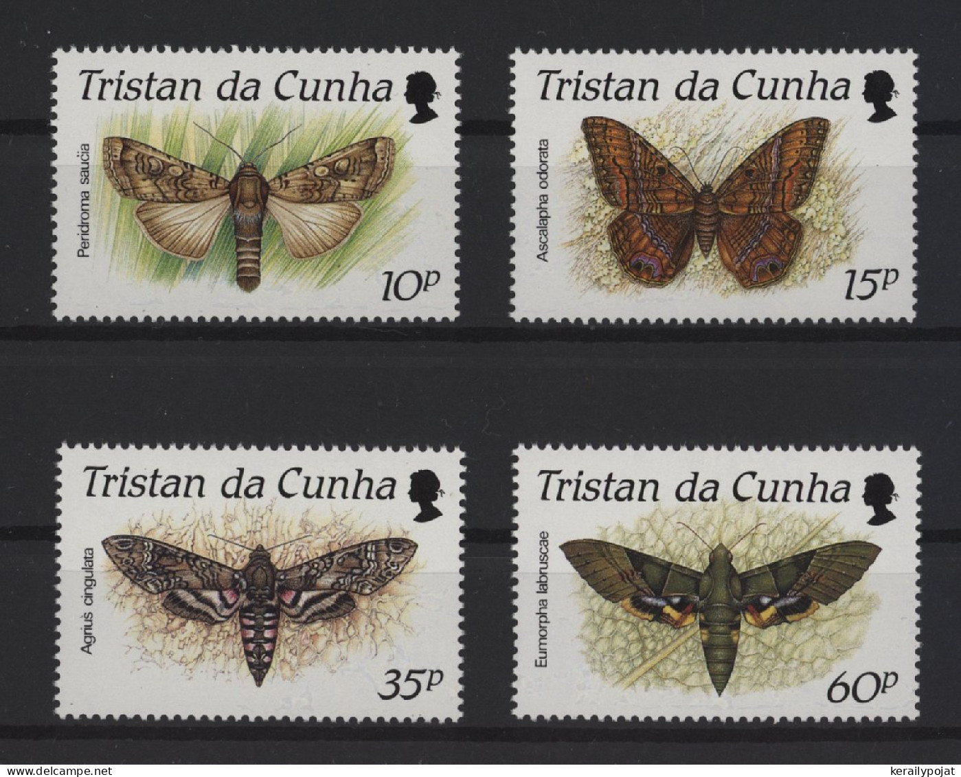 Tristan Da Cunha - 1990 Butterflies MNH__(TH-27304) - Tristan Da Cunha