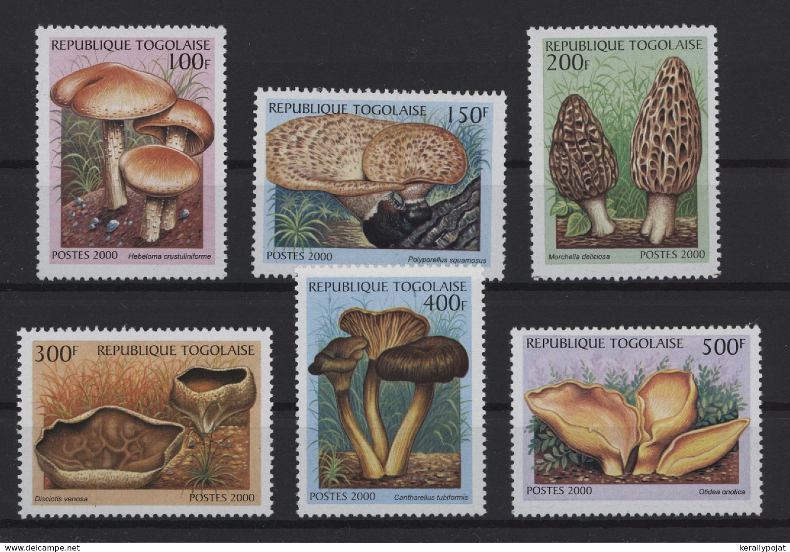 Togo - 1999 Mushrooms MNH__(TH-24527) - Togo (1960-...)