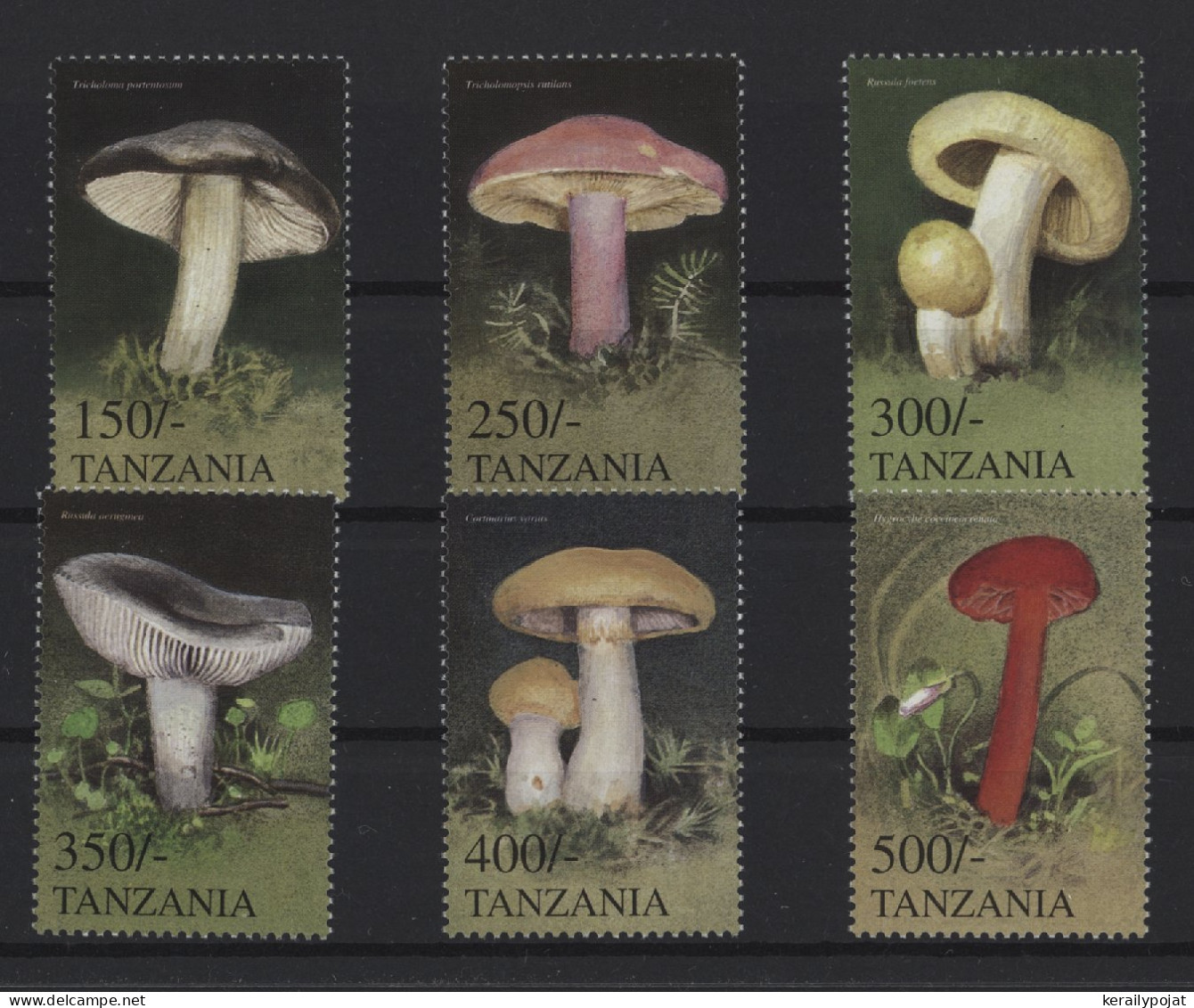 Tanzania - 1999 Mushrooms MNH__(TH-24526) - Tanzania (1964-...)