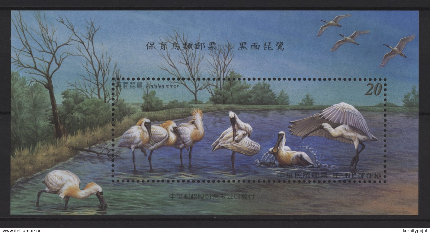 Taiwan - 2004 Black-fronted Spoonbill Block MNH__(TH-26993) - Blocks & Sheetlets