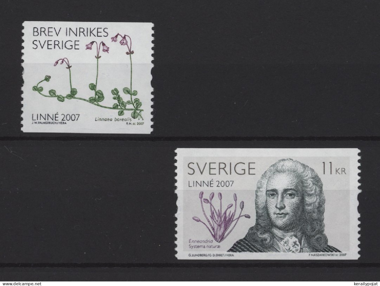 Sweden - 2007 Carl Von Linné MNH__(TH-25926) - Unused Stamps