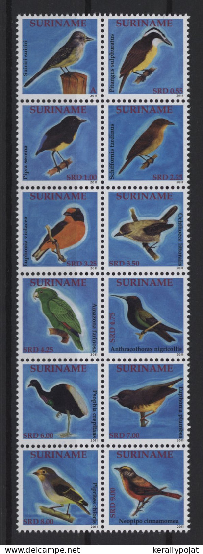 Surinam - 2011 Birds Block Of Twelve MNH__(TH-27067) - Surinam