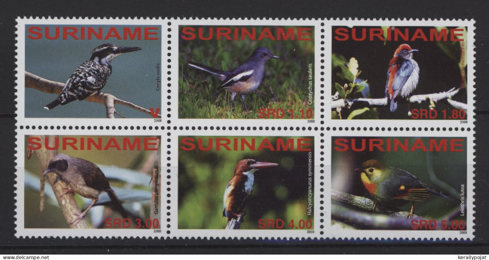 Surinam - 2008 Birds From All Over The World MNH__(TH-26999) - Surinam