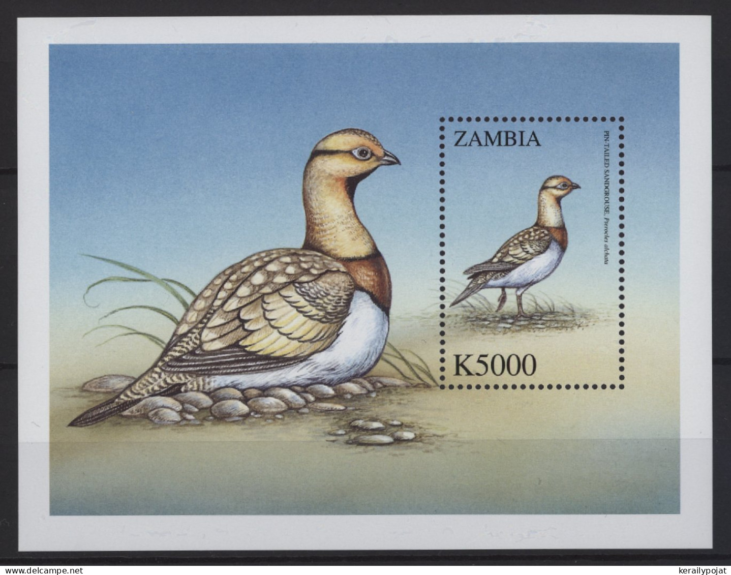 Zambia - 2000 Birds Block (1) MNH__(TH-27246) - Zambie (1965-...)