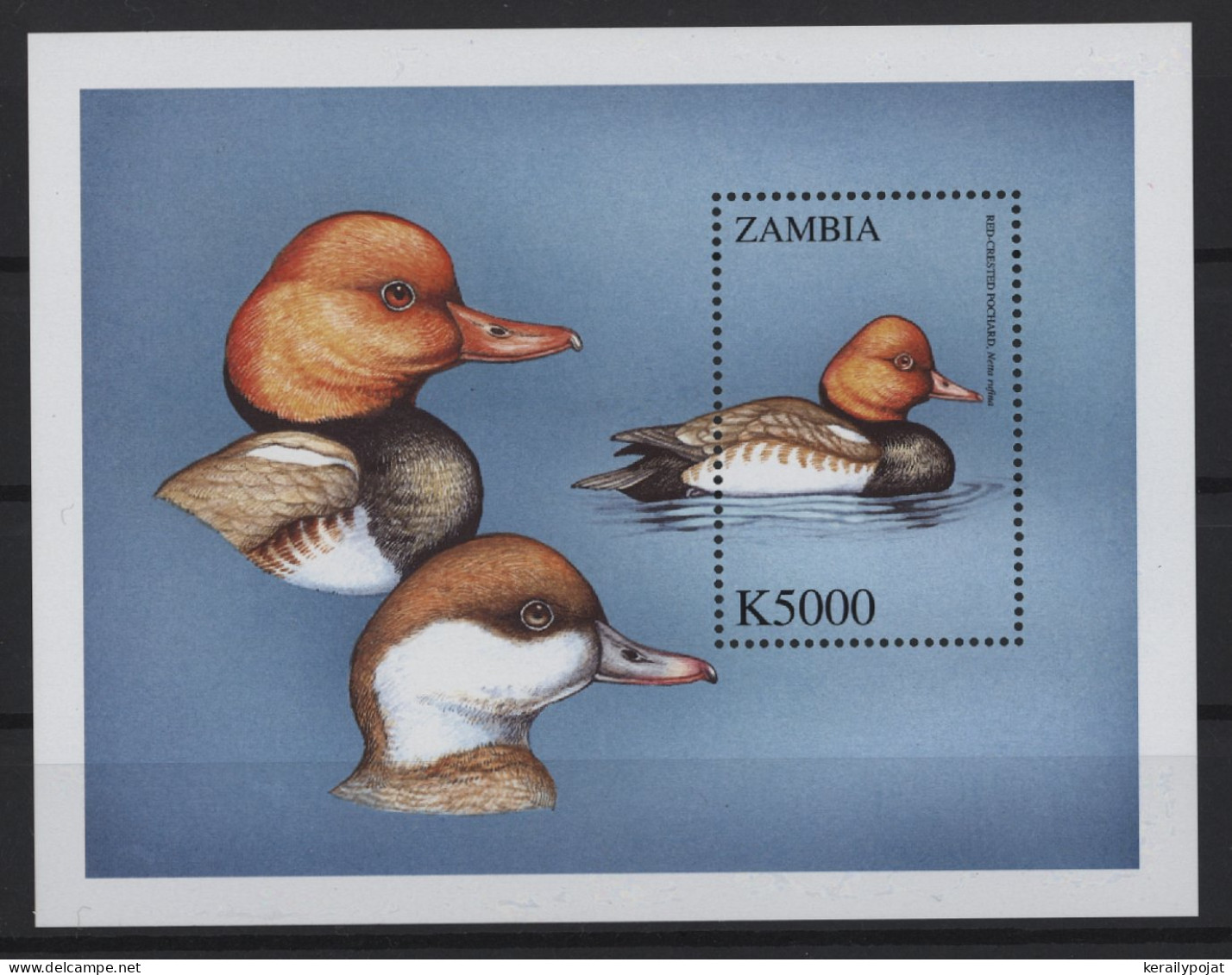 Zambia - 2000 Birds Block (2) MNH__(TH-27254) - Zambia (1965-...)