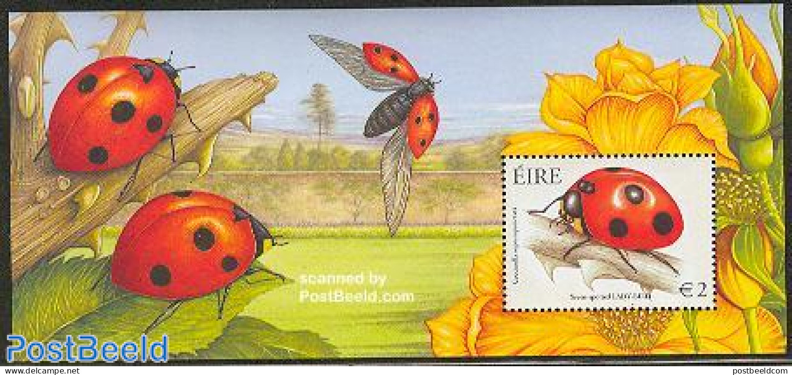 Ireland 2003 Beetles S/s, Mint NH, Nature - Animals (others & Mixed) - Flowers & Plants - Insects - Ungebraucht
