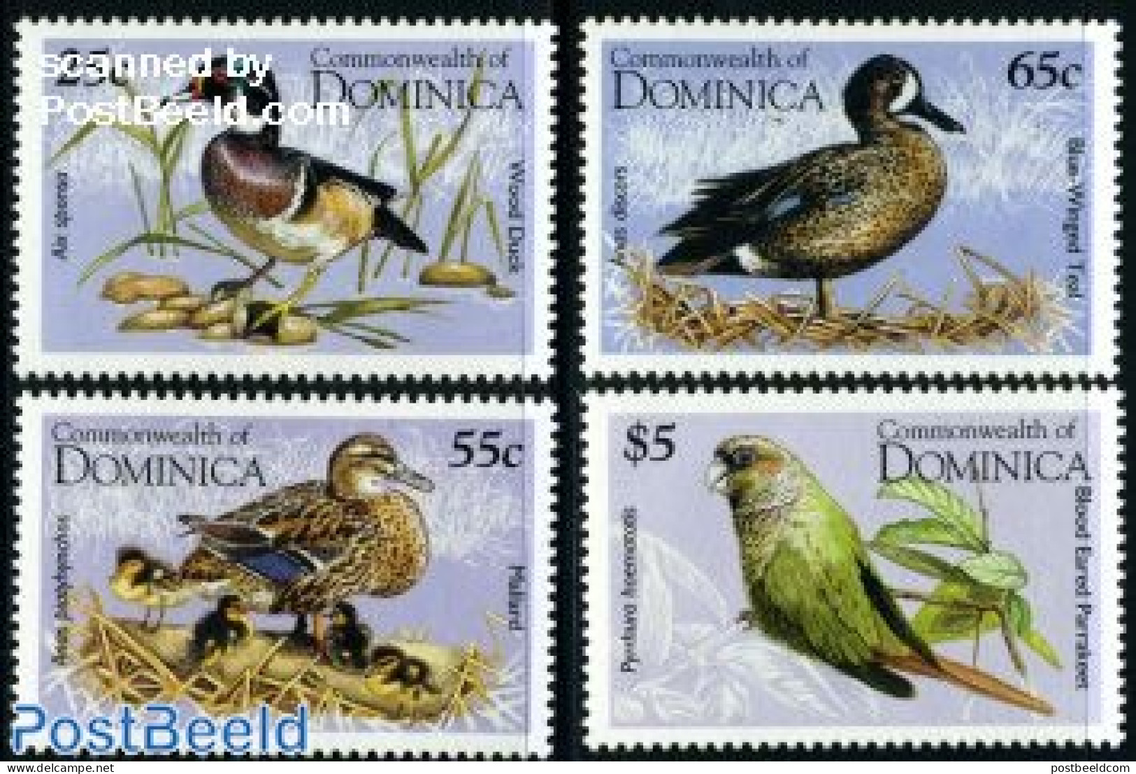 Dominica 1995 Water Birds 4v, Mint NH, Nature - Birds - Ducks - Parrots - Dominican Republic