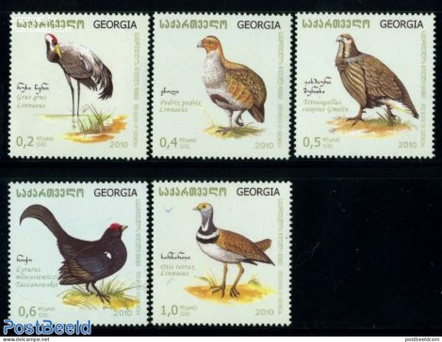 Georgia 2010 Birds 5v, Mint NH, Nature - Birds - Georgien