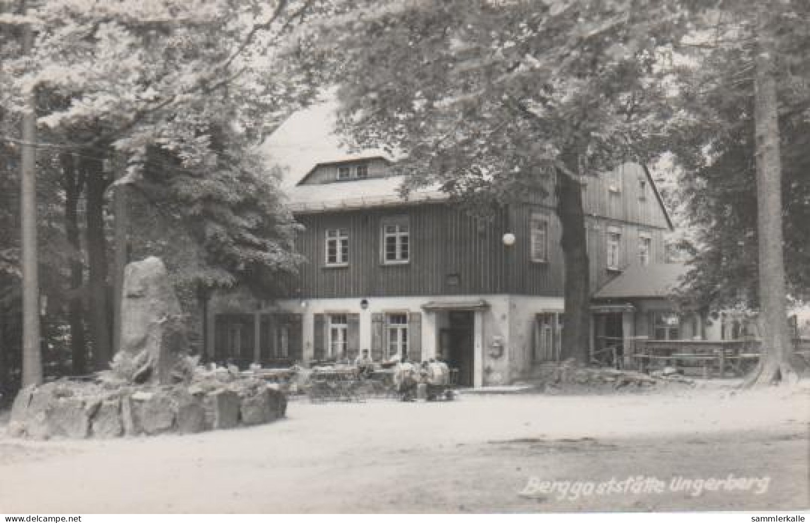 5414 - Hohwald, Berggaststätte Ungerberg - 1960 - Hohwald (Sachsen)