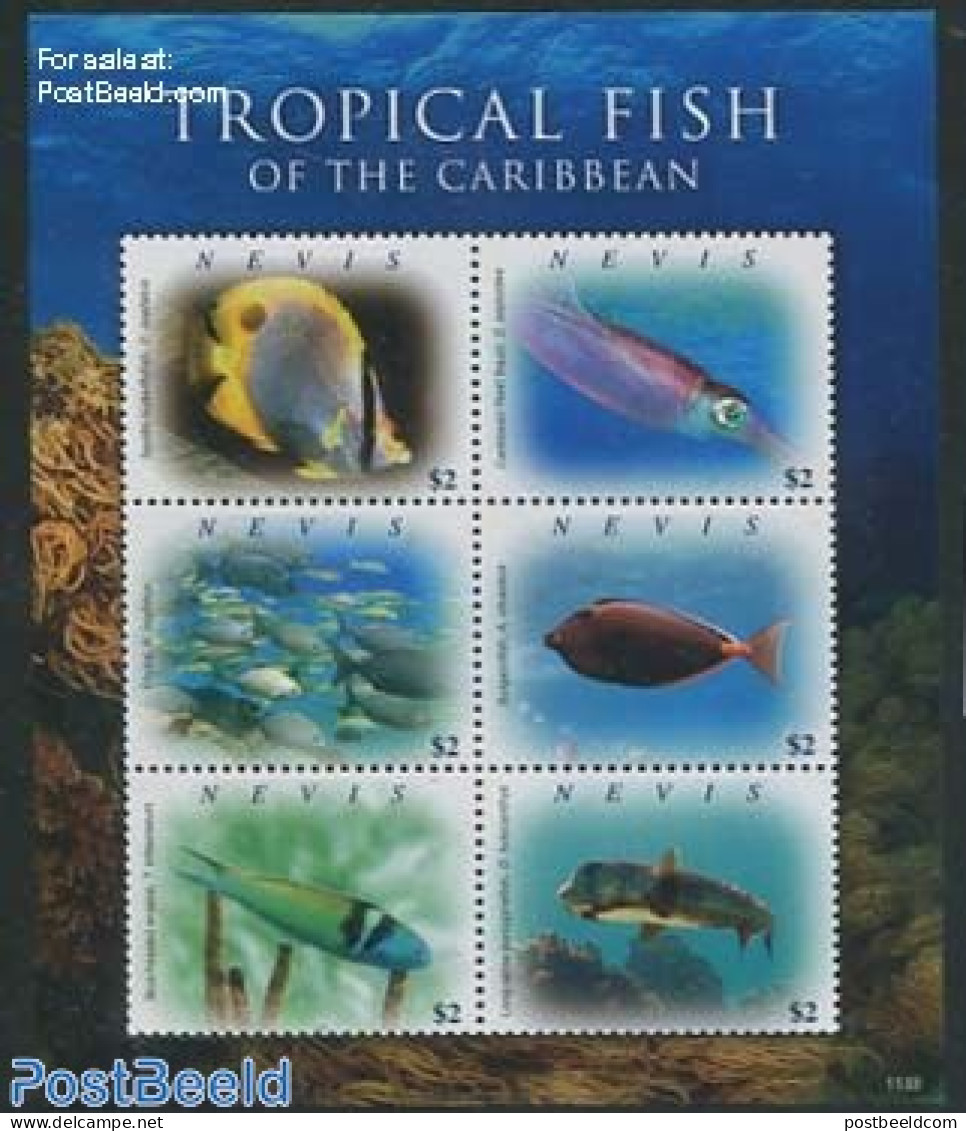 Nevis 2011 Tropical Fish 6v M/s, Mint NH, Nature - Fish - Fishes