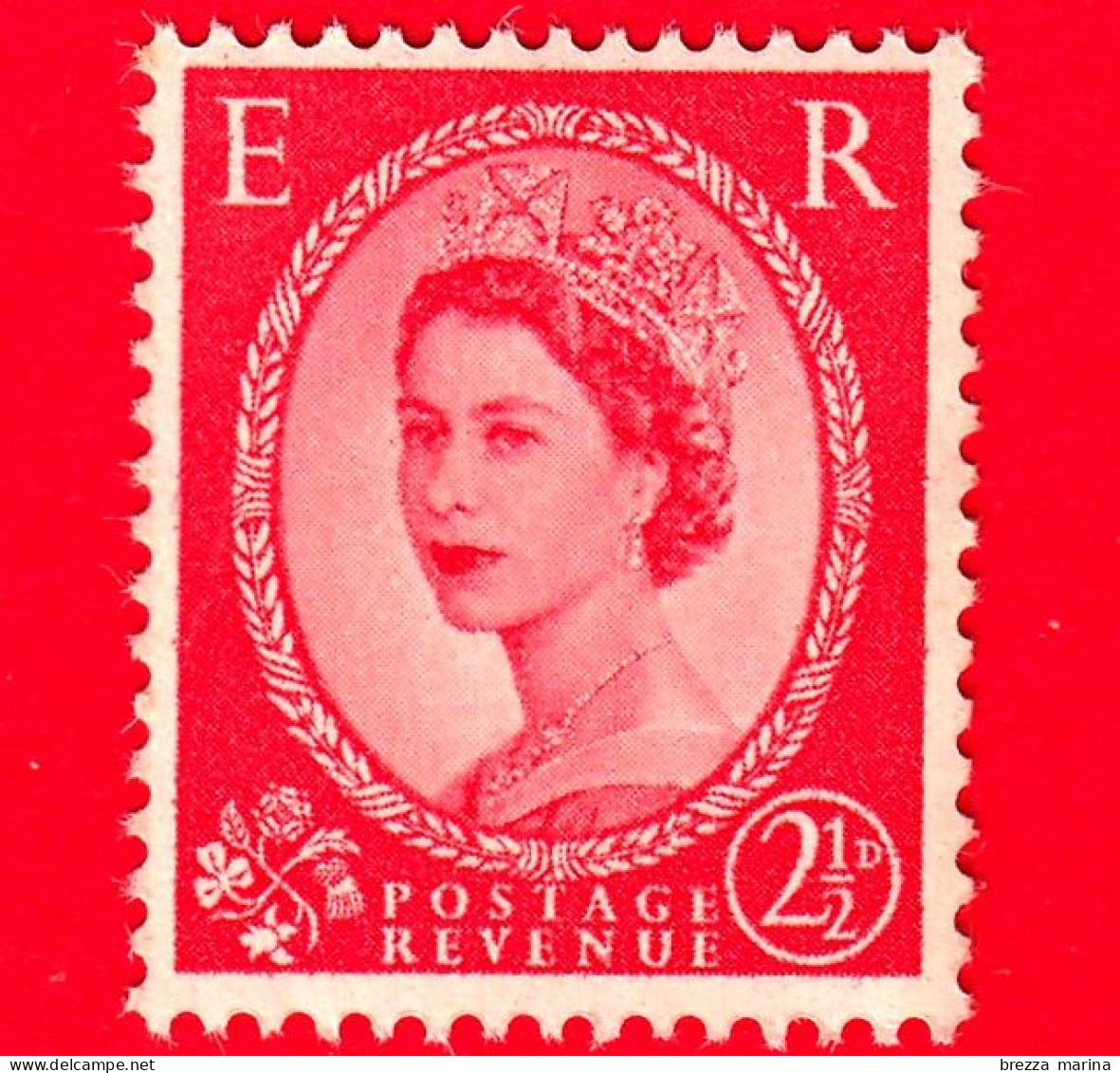 Nuovo - MNH - GB  GRAN BRETAGNA - 1954 - Regina Elisabetta II - Piante Selvatiche Predecimale - Queen Elizabeth II - 2.5 - Ungebraucht