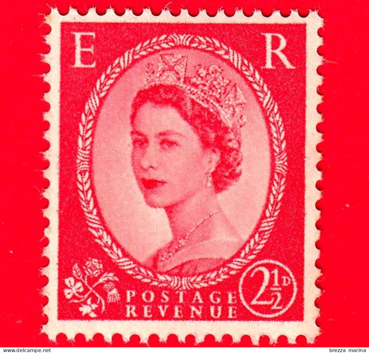 Nuovo - MNH - GB  GRAN BRETAGNA - 1954 - Regina Elisabetta II - Piante Selvatiche Predecimale - Queen Elizabeth II - 2.5 - Unused Stamps