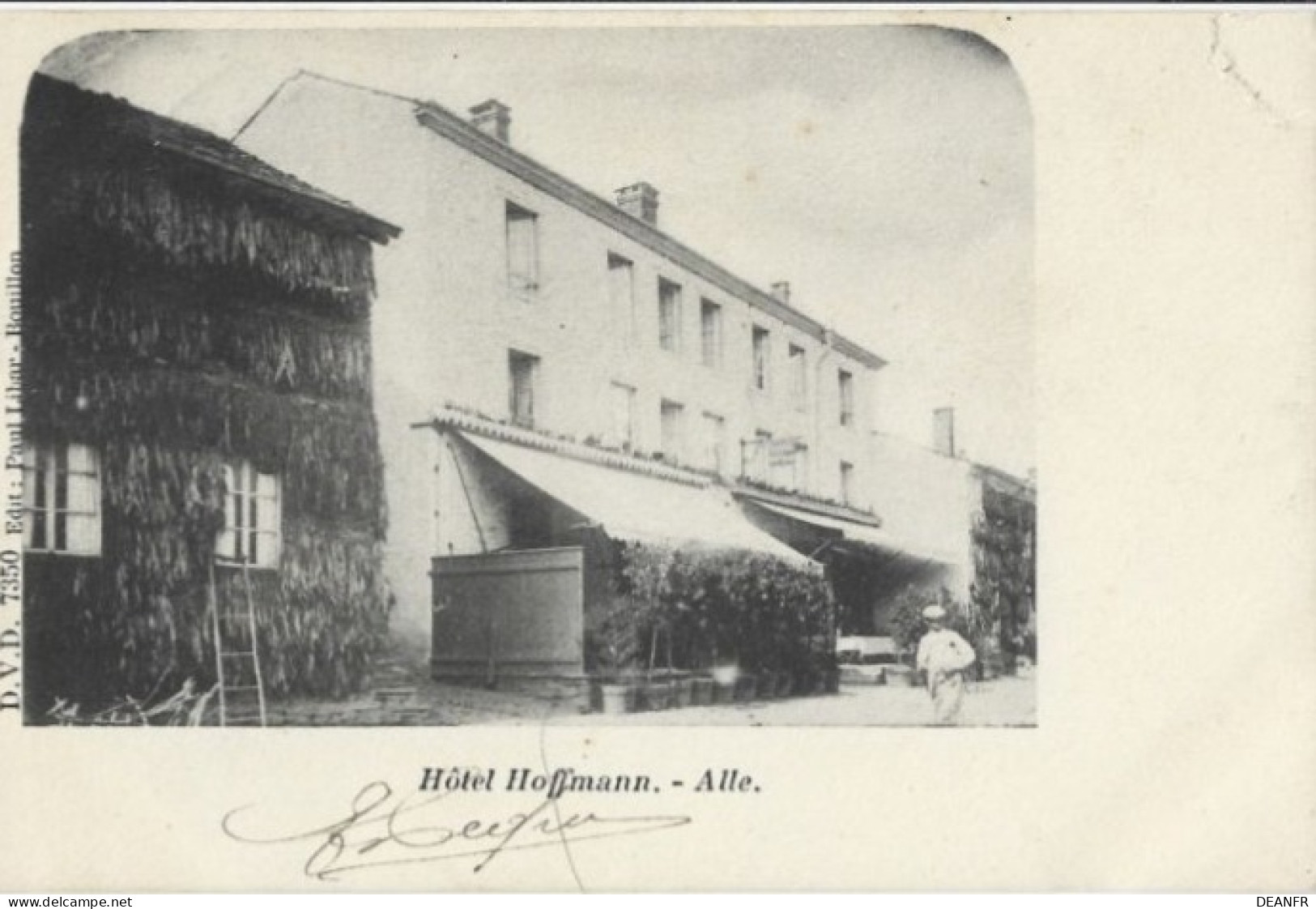 ALLE : Hôtel Hoffmann. Belle Carte , Léger Plis En Haut à Droite. - Vresse-sur-Semois