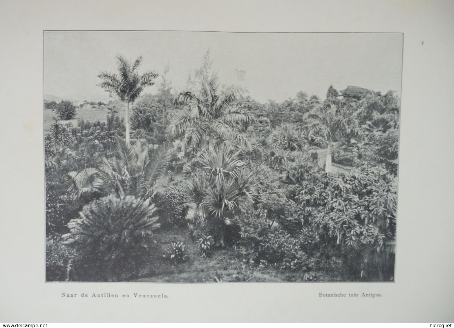 Naar de ANTILLEN en VENEZUELA door H. Van Kol 1904 Leiden Sijthof eilanden Dominica revolutie wouden negerras Nederland