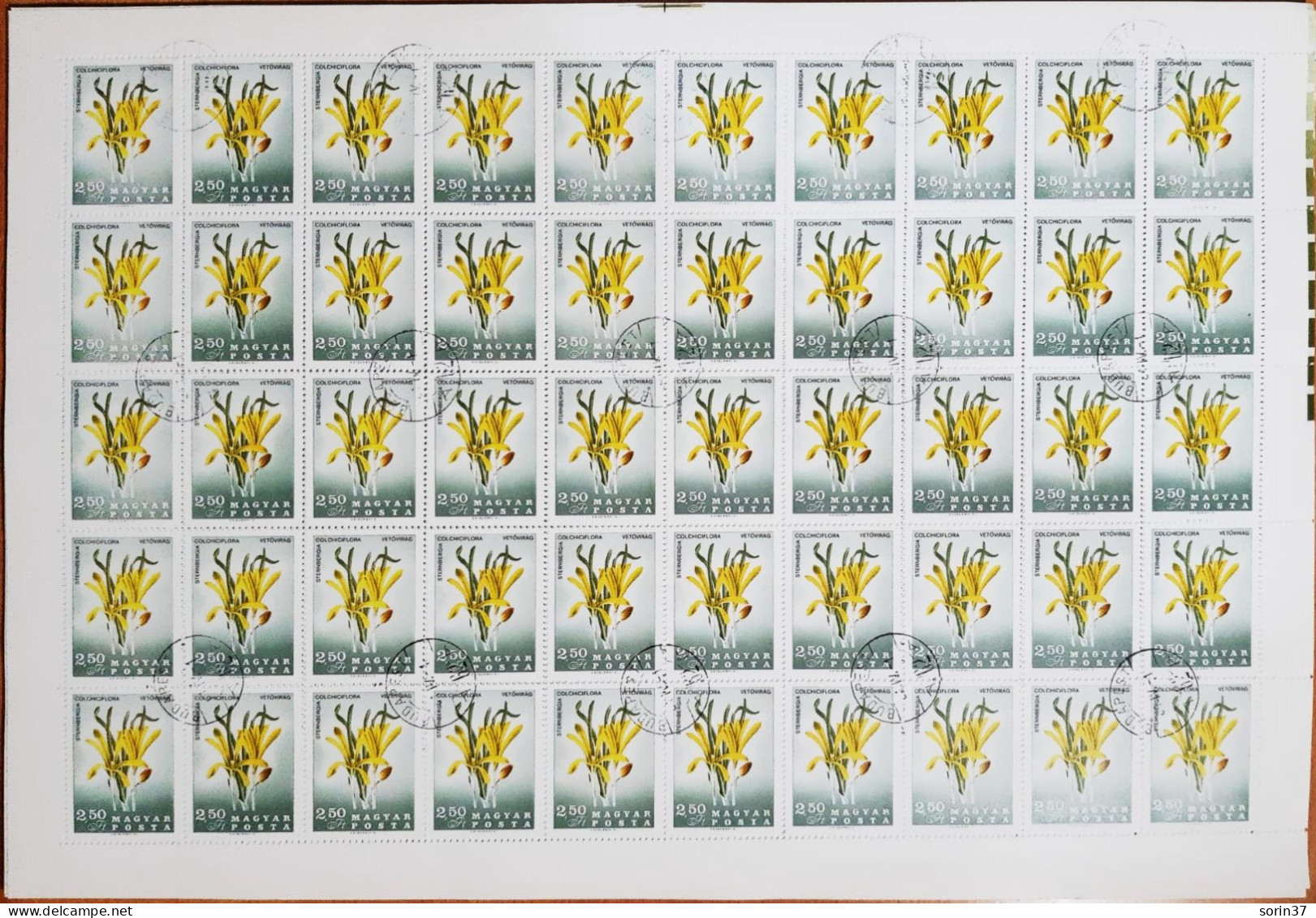 Hungria Pliego 50 Sellos Año 1967 Usado  Flores - Used Stamps