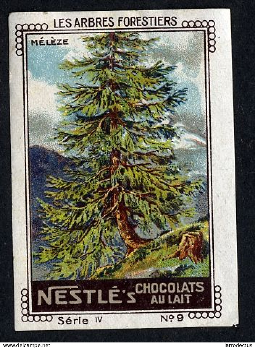 Nestlé (1920's) - IV - Les Arbres Forestiers, Forest Trees - 9 - Mélèze, Larch - Nestlé