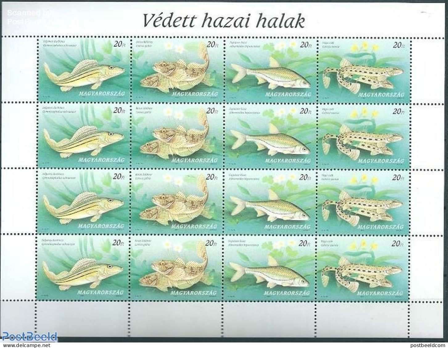 Hungary 1997 Fish M/s, Mint NH, Nature - Fish - Neufs