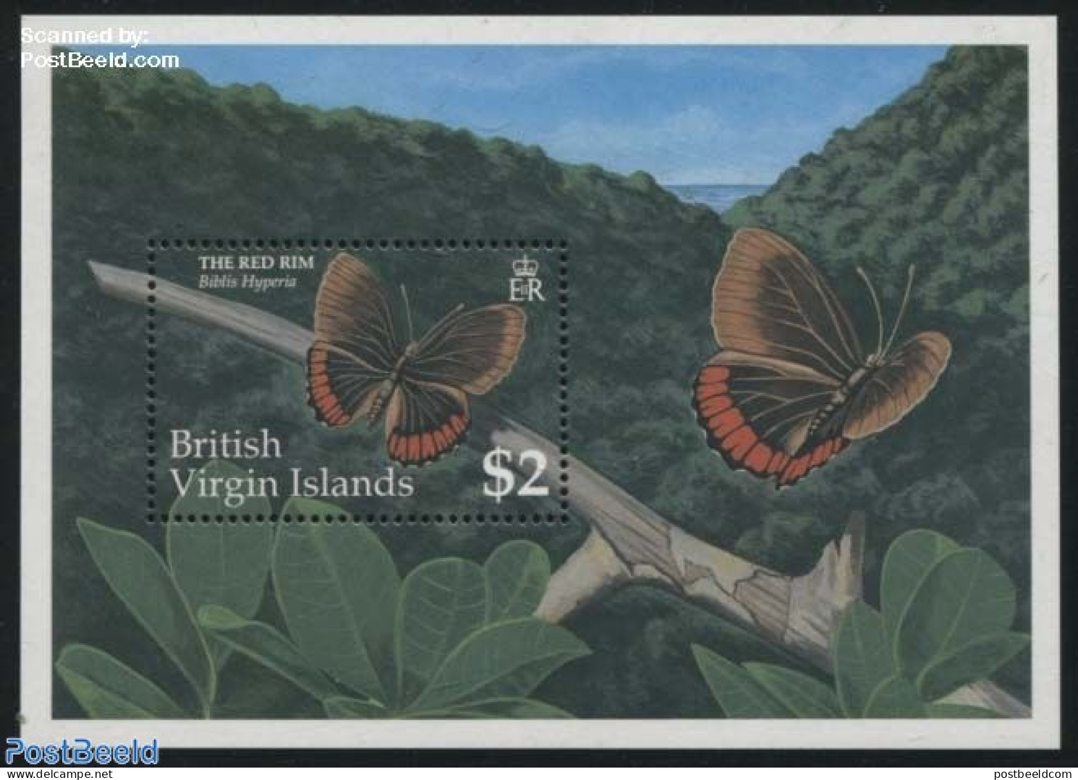 Virgin Islands 1991 Biblis Hyperia S/s, Mint NH, Nature - Butterflies - Iles Vièrges Britanniques