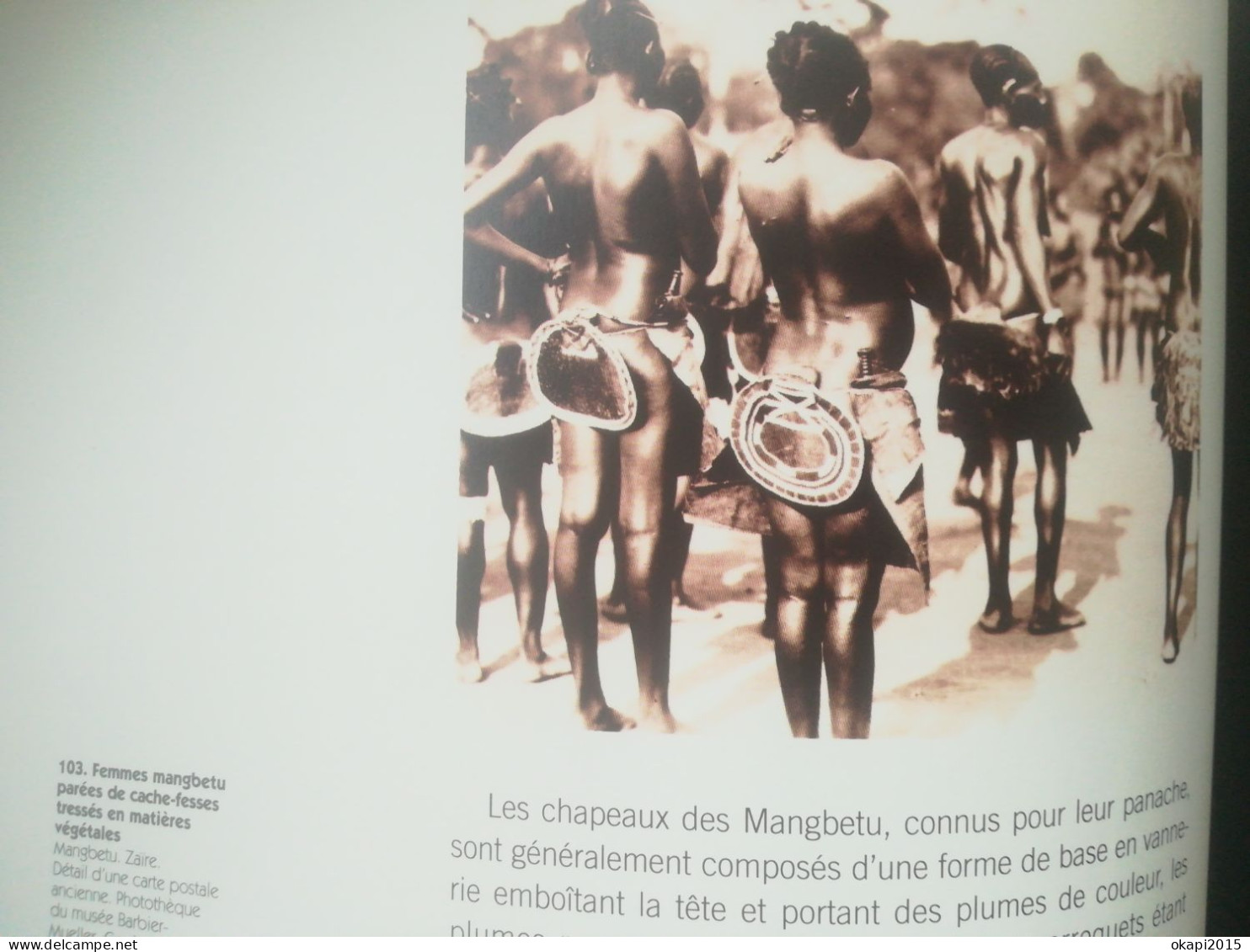ART AFRICAIN LIVRE OBJETS AFRICAINS DU QUOTIDIEN SCEPTRE ARMES BIJOUX TABOURET CUILLER RITES  CONGO ZAÏRE KUBA  KASAÏ